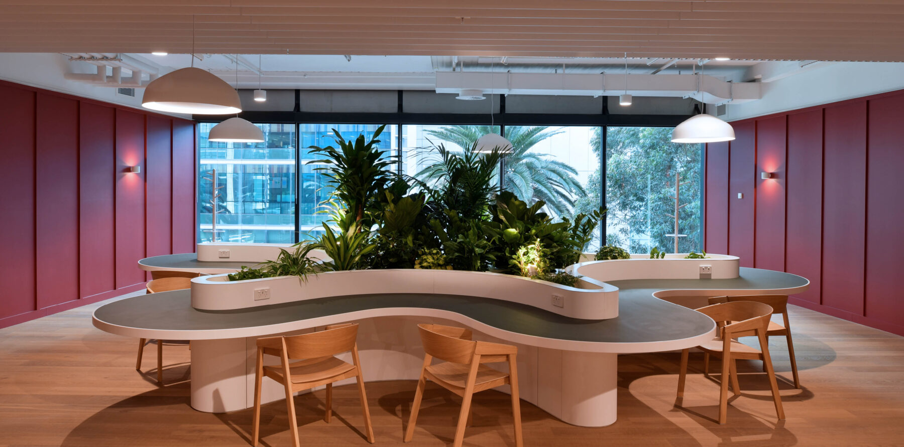 Euroline_NSW Health_4