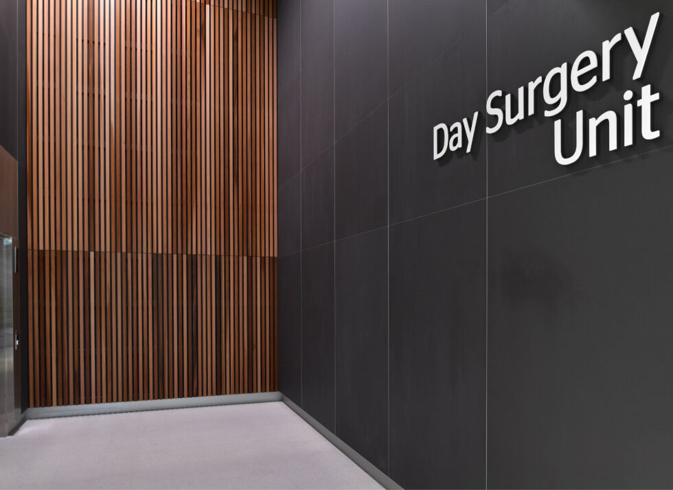 europanel_westmead hospital_17