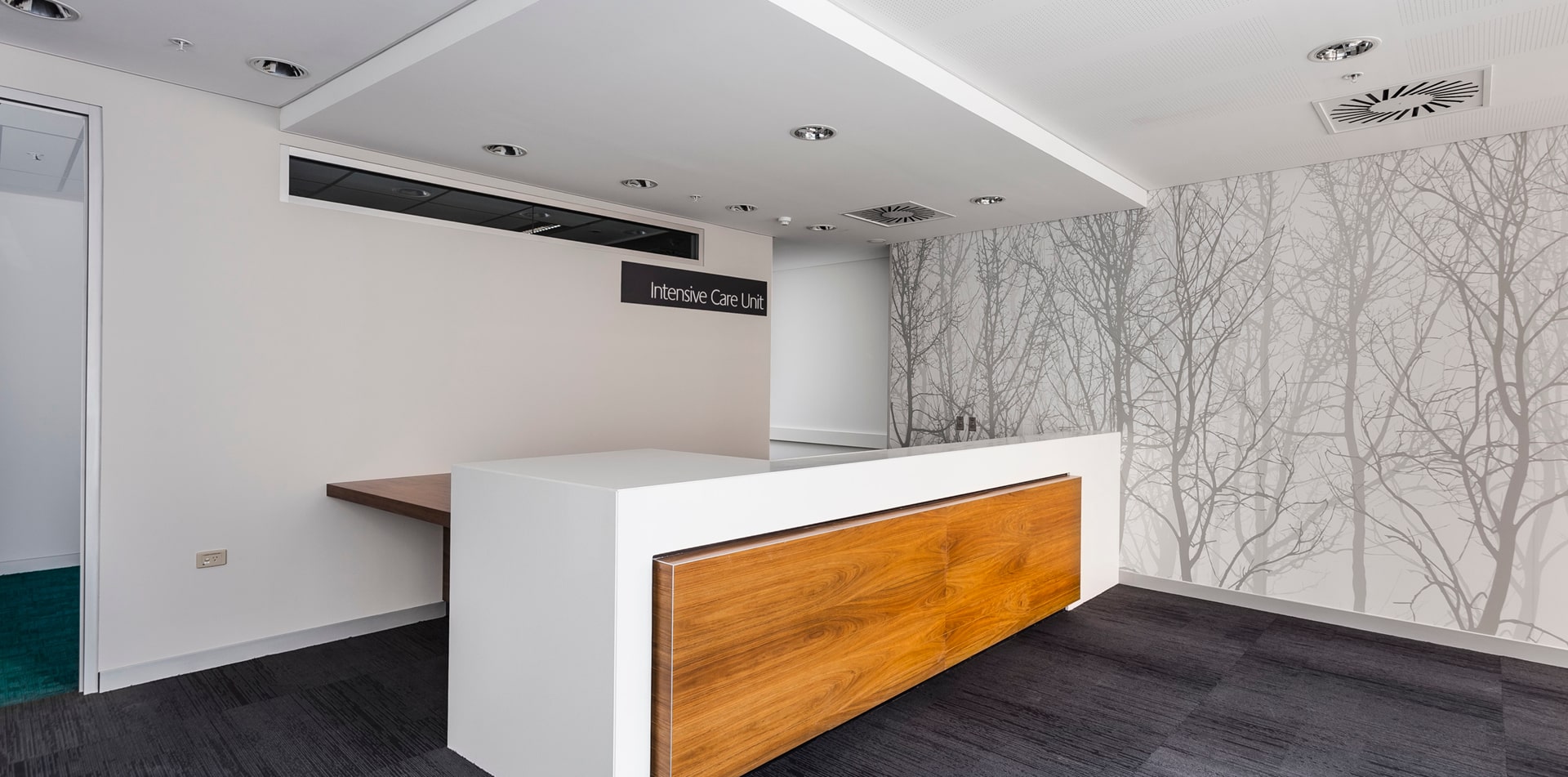 Euroline_668_Chris OBrien Lifehouse_4-min