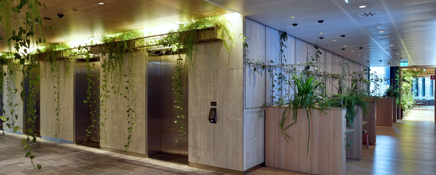 Euroline_Carpe Diem_