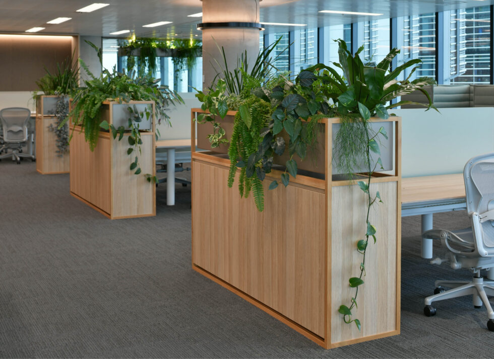 Euroline_Carpe Diem_10