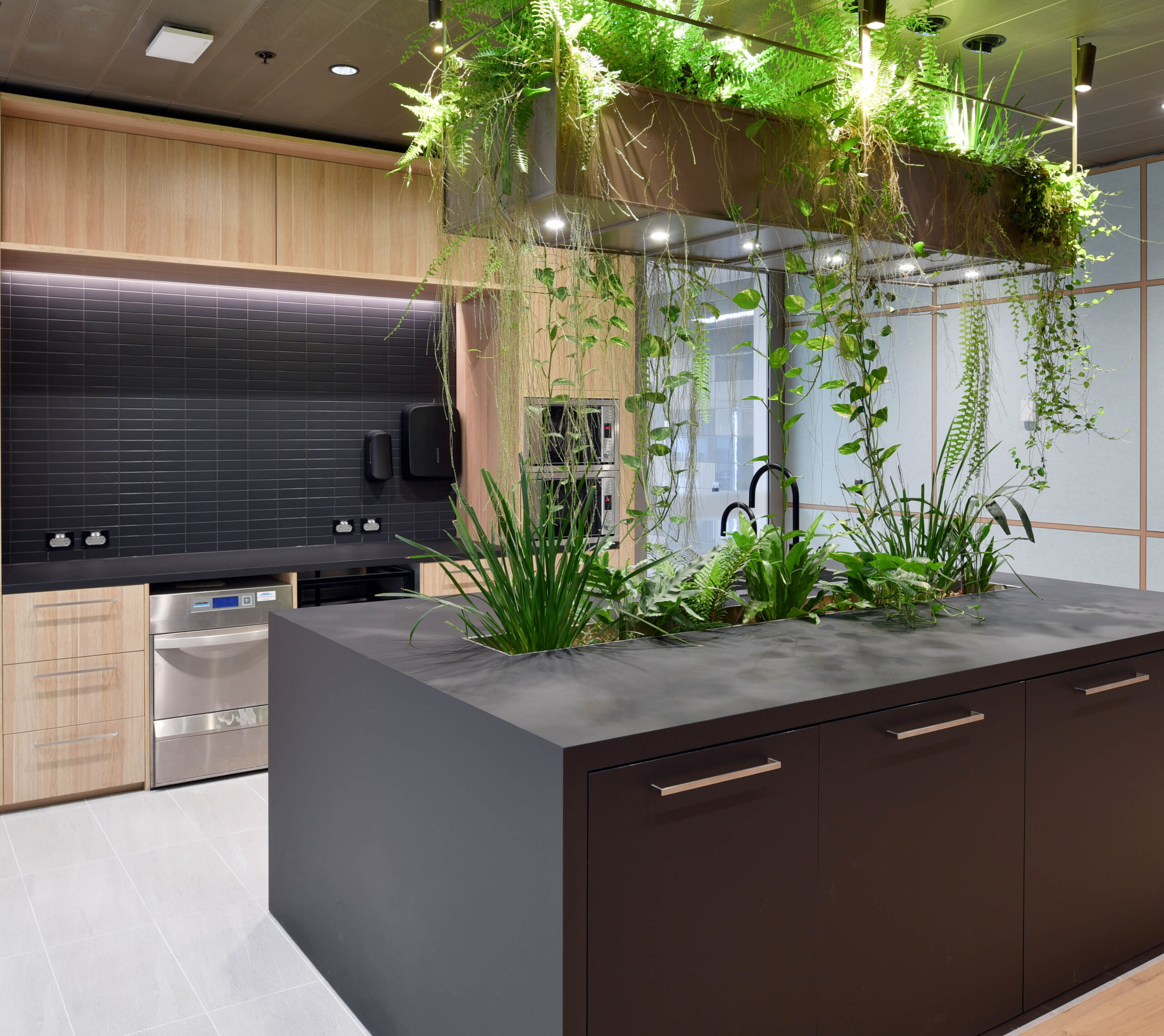 Euroline_Carpe Diem_11