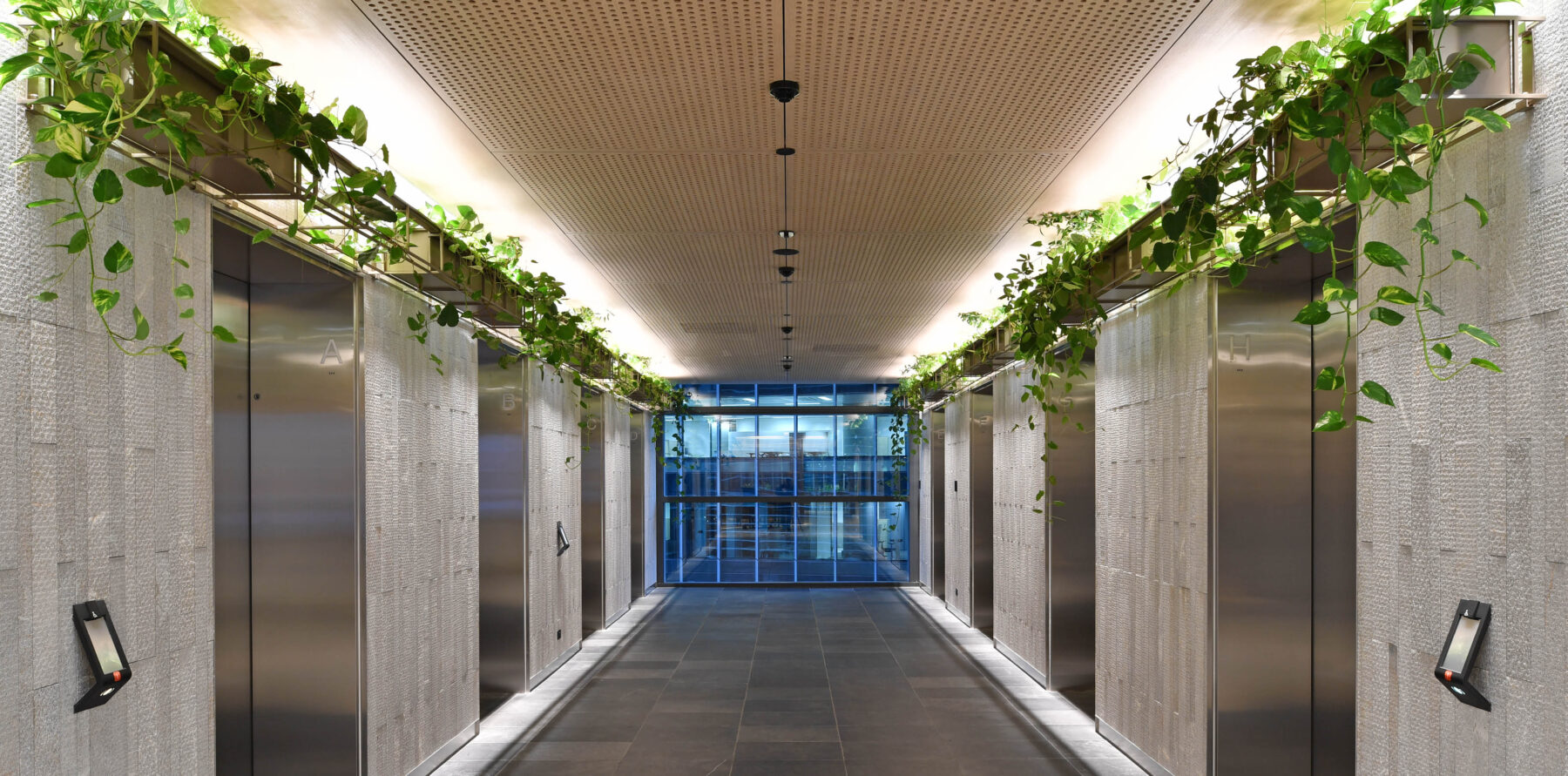 Euroline_Carpe Diem_3