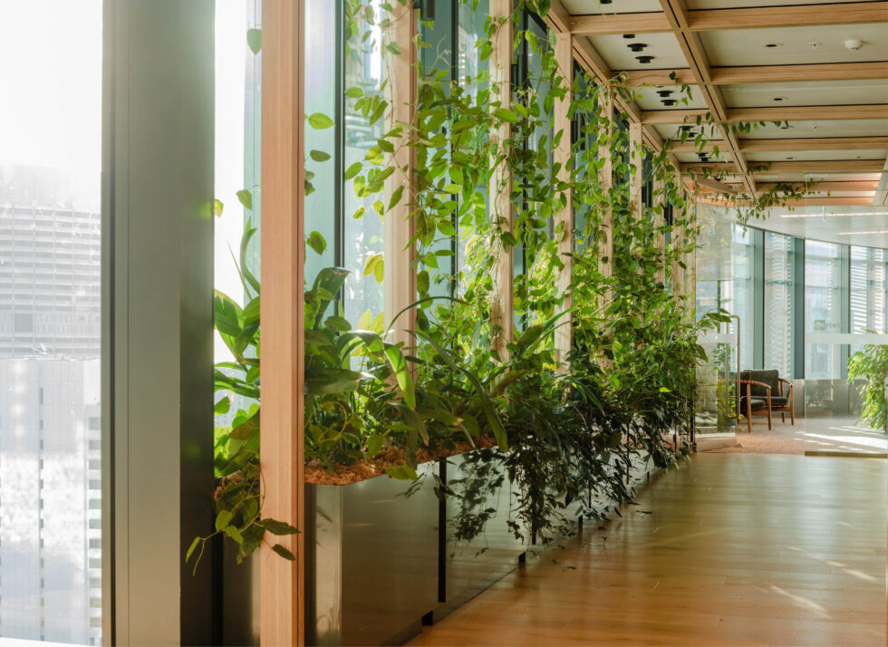 Euroline_Carpe Diem_6