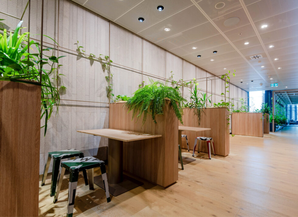 Euroline_Carpe Diem_7