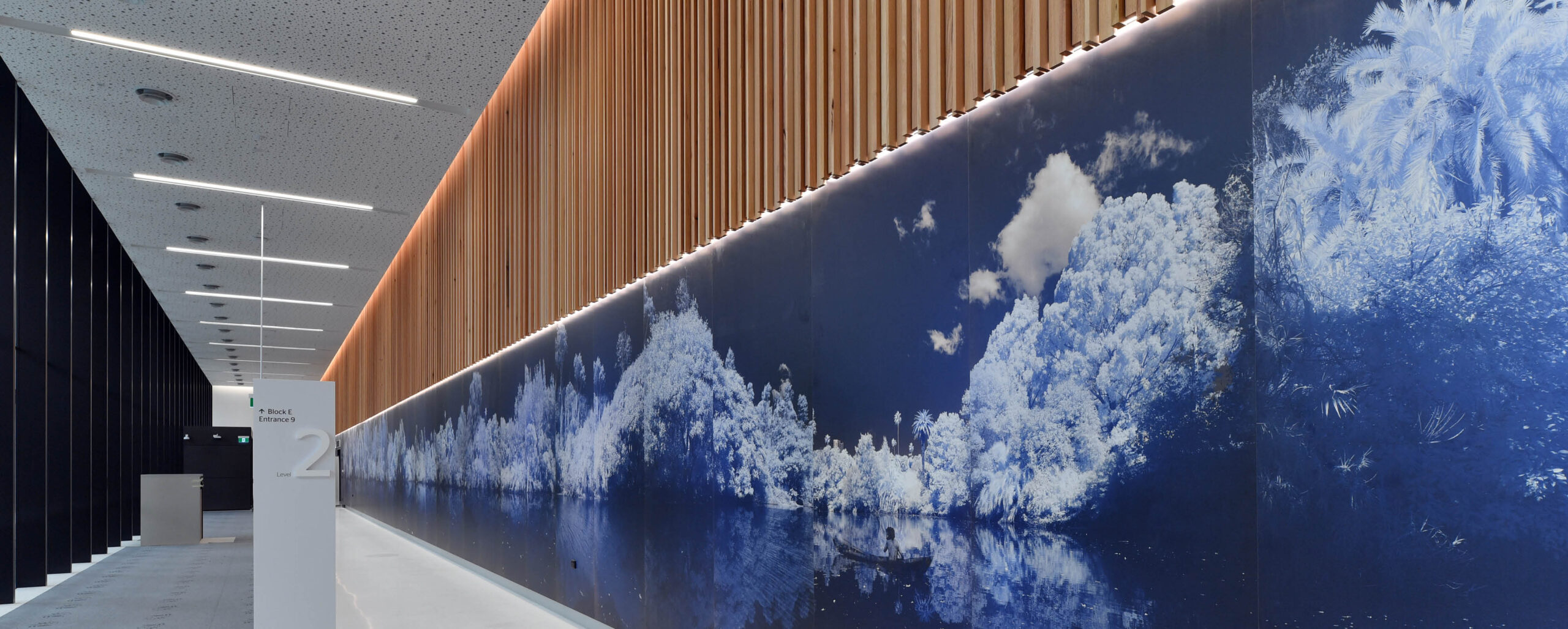 europanel_westmead hospital_1