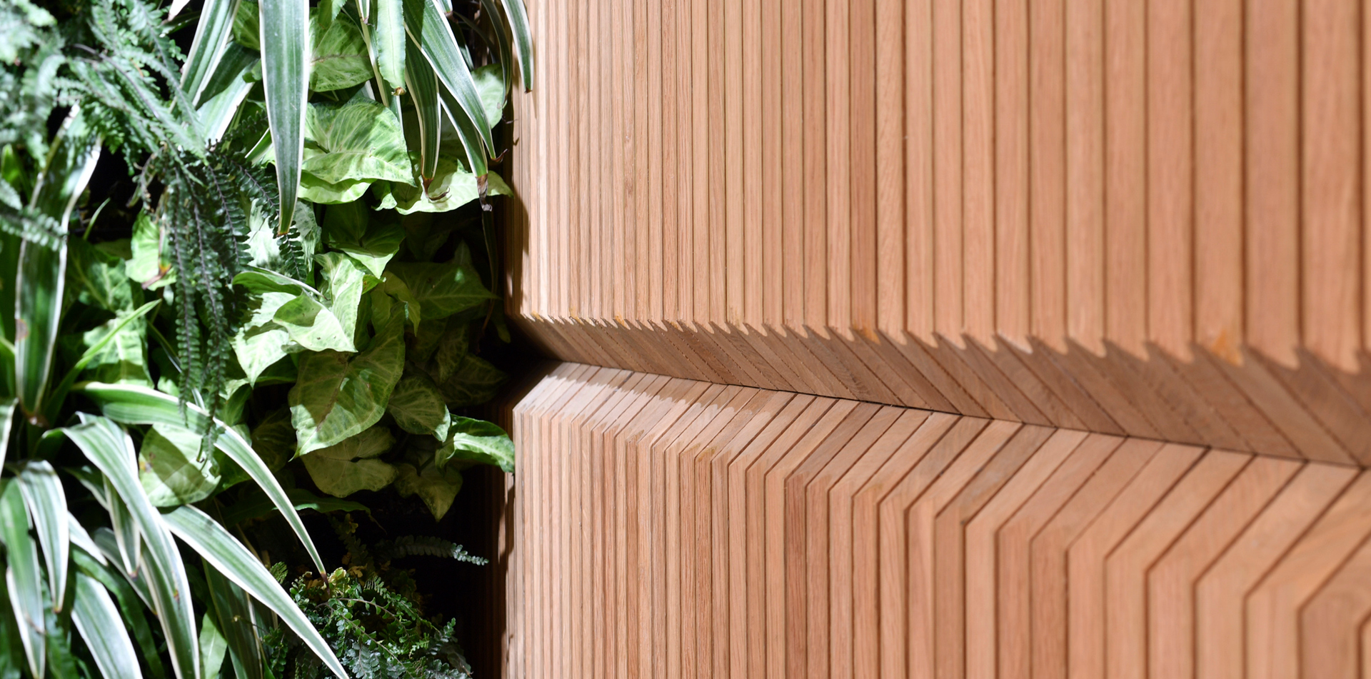 Euroline_1151_100 Mount Street_7