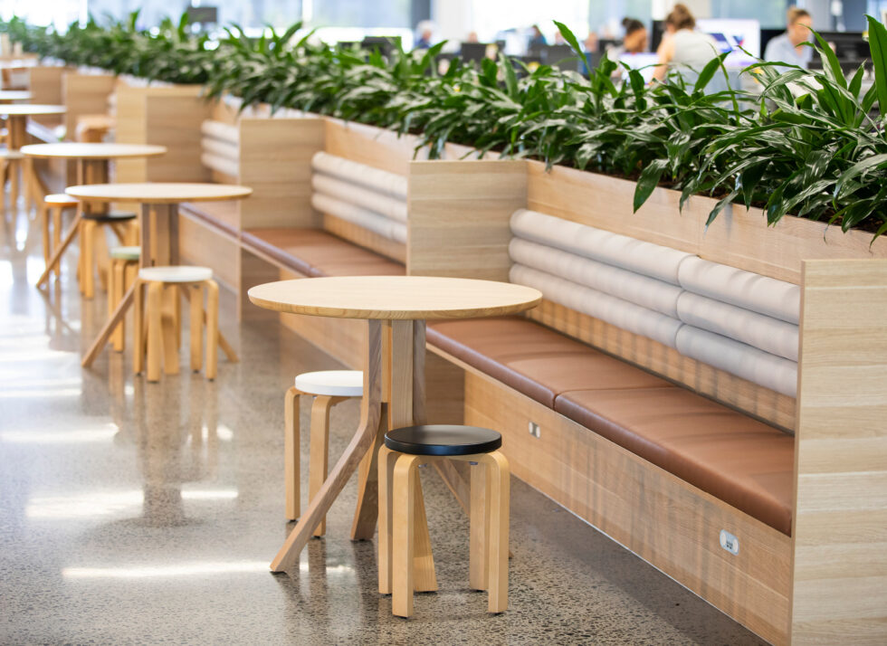 Euroline_1265_Cricket NSW_11