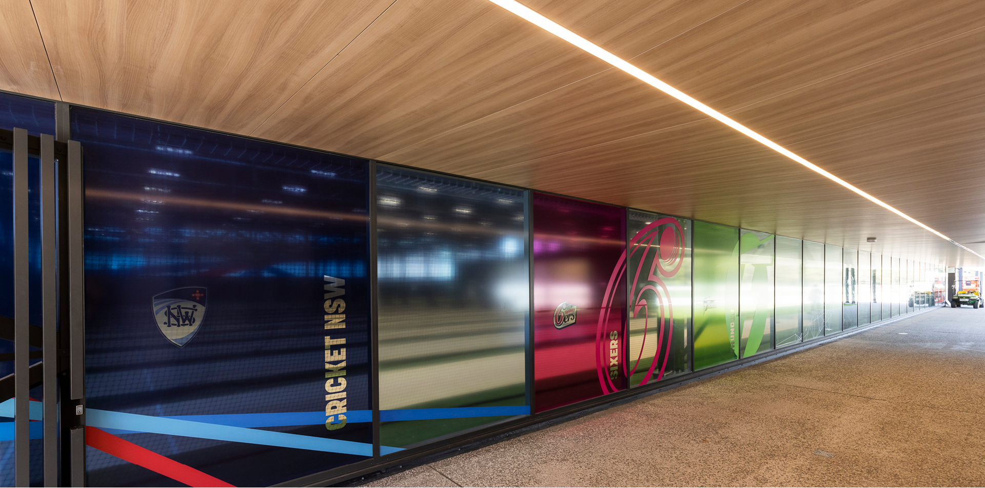 Euroline_1265_Cricket NSW_3