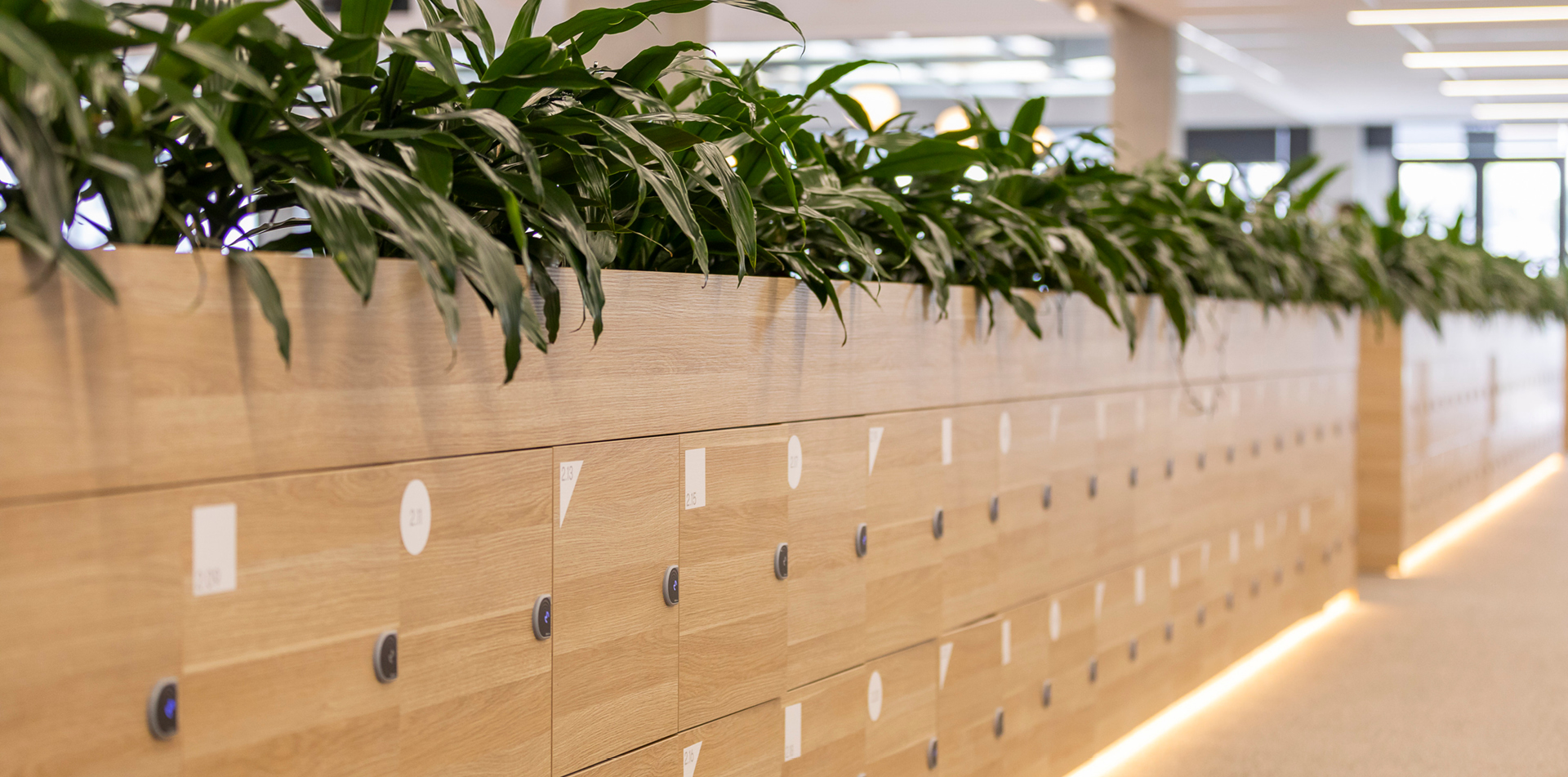 Euroline_1265_Cricket NSW_6