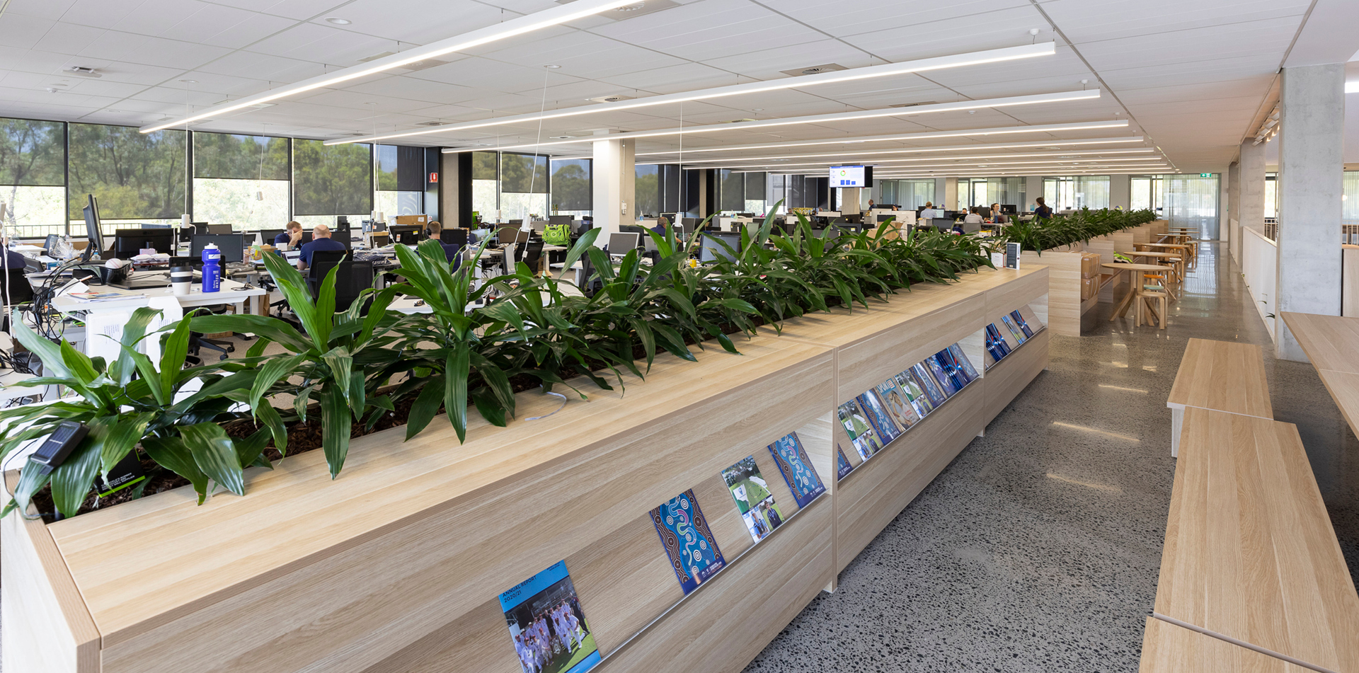 Euroline_1265_Cricket NSW_7