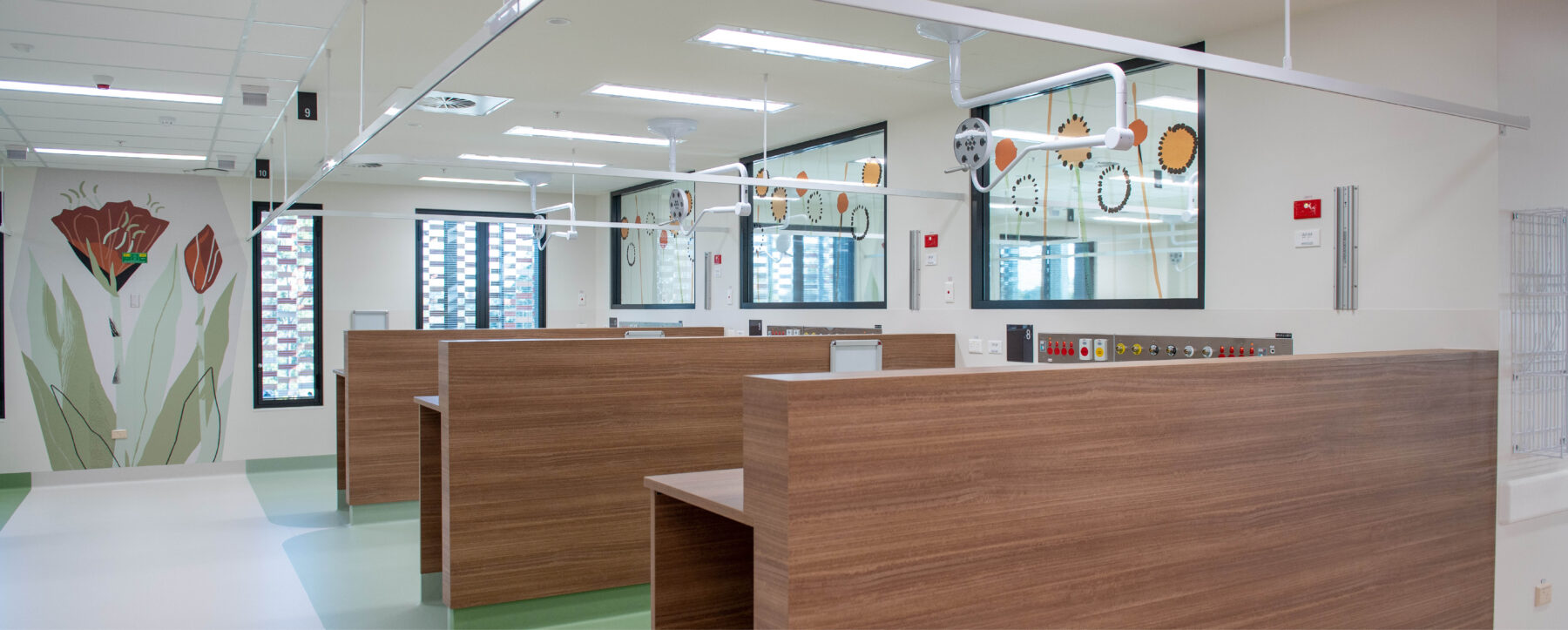 Euroline_Maitland Hospital_